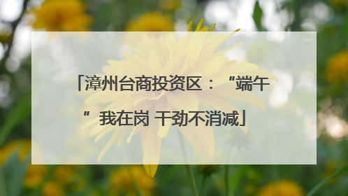 漳州台商投资区：“端午”我在岗 干劲不消减
